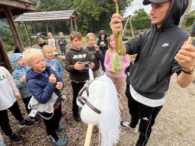 hestedåb